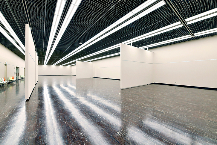 栃木県総合文化センター 様