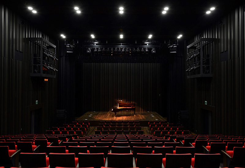 成田市文化芸術センター スカイタウンホール